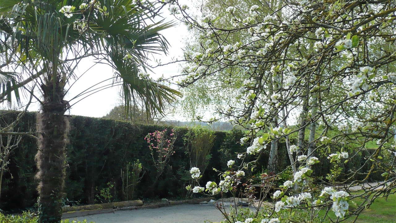 Photo of Outdoor in Chatillon-sur-Indre