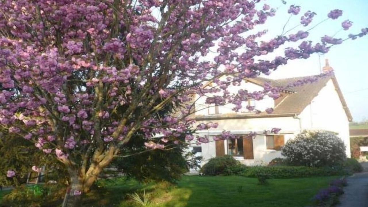 Photo of Outdoor in Chatillon-sur-Indre