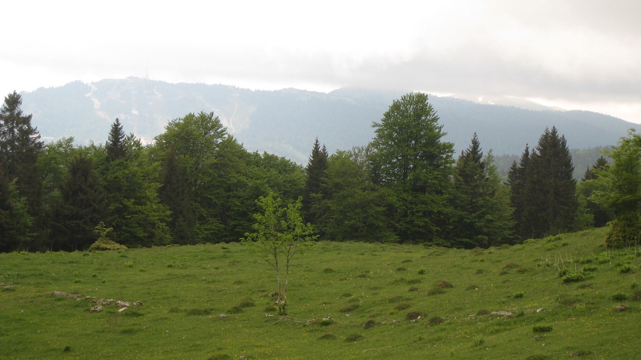 Photo of Outdoor in Saint-Laurent-en-Grandvaux