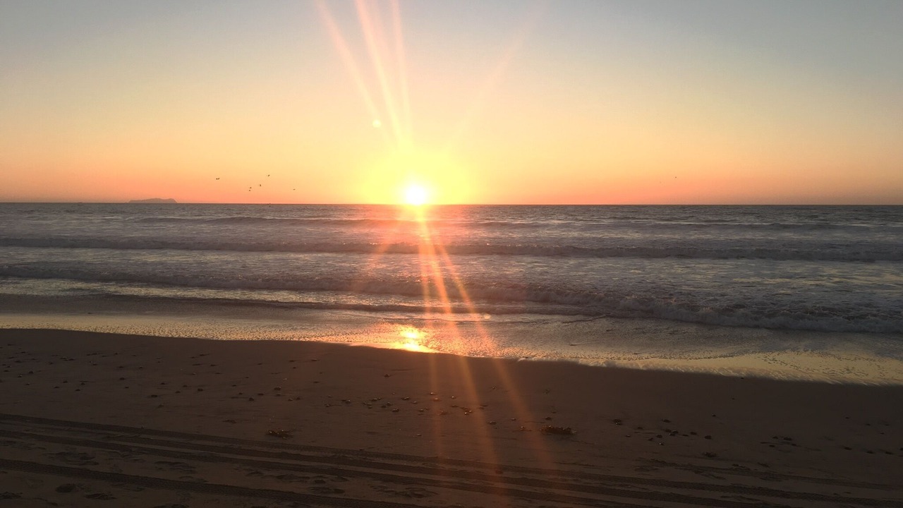 Photo of Others in Imperial Beach