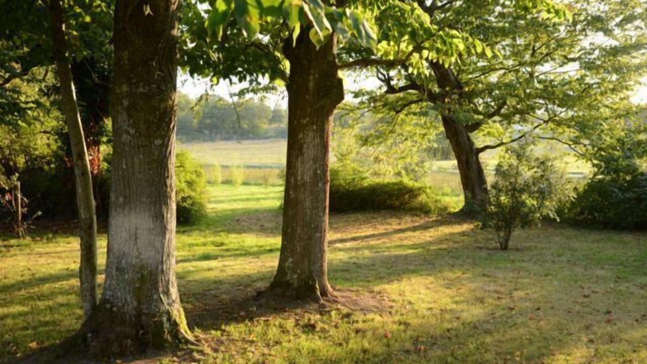 Photo of Others in Le Fousseret