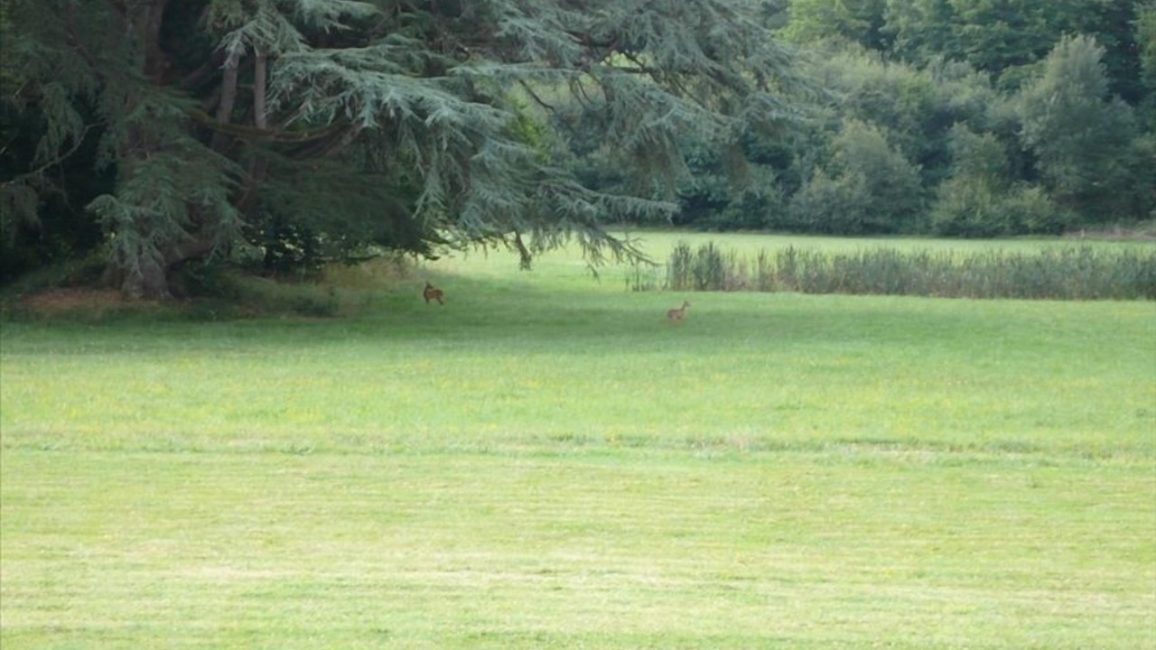 Photo of Others in Le Fousseret
