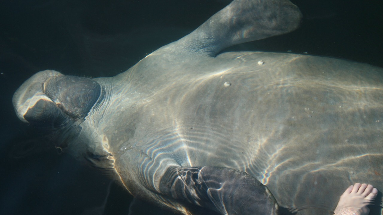 Photo of Others in Cross Key Waterways
