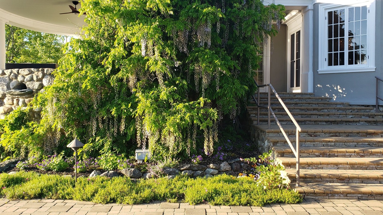 Photo of Outdoor in Brooksville