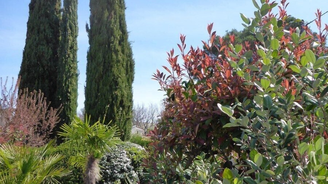 Photo of Outdoor in Bouc-Bel-Air