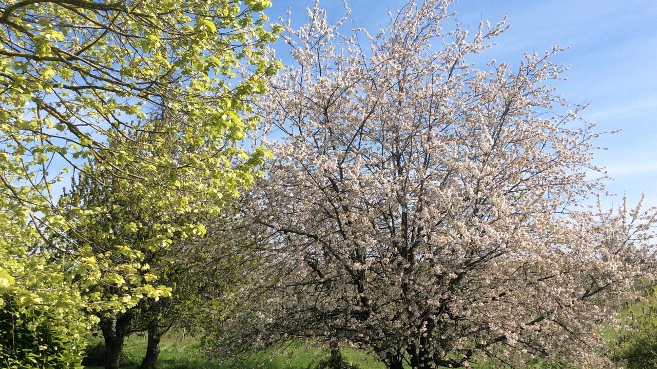 Photo of Outdoor in Boisse