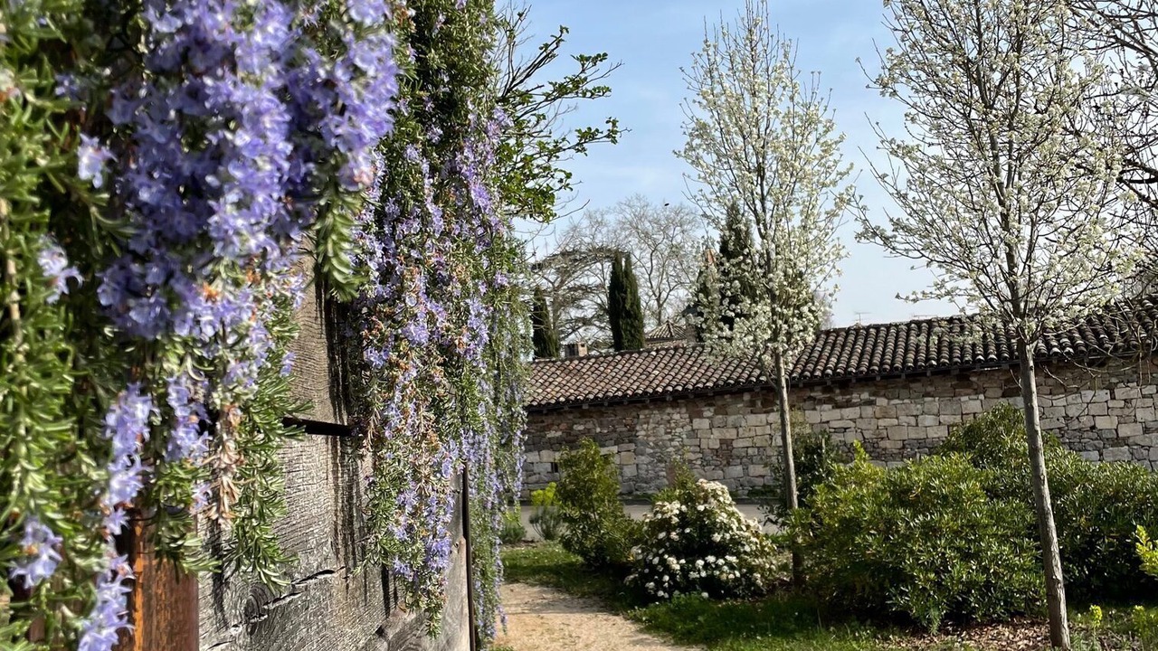 Photo of Outdoor in Castelnau-de-Montmiral