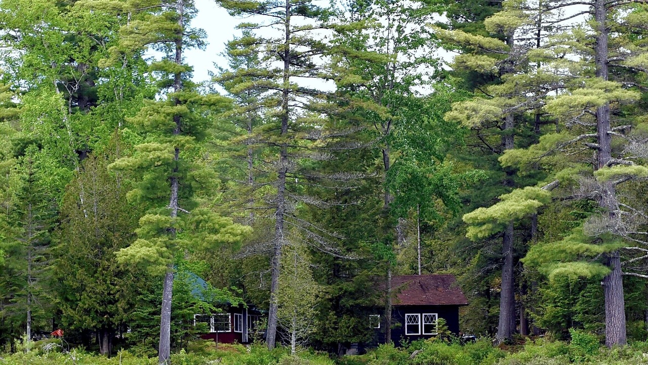Photo of Outdoor in North Pole