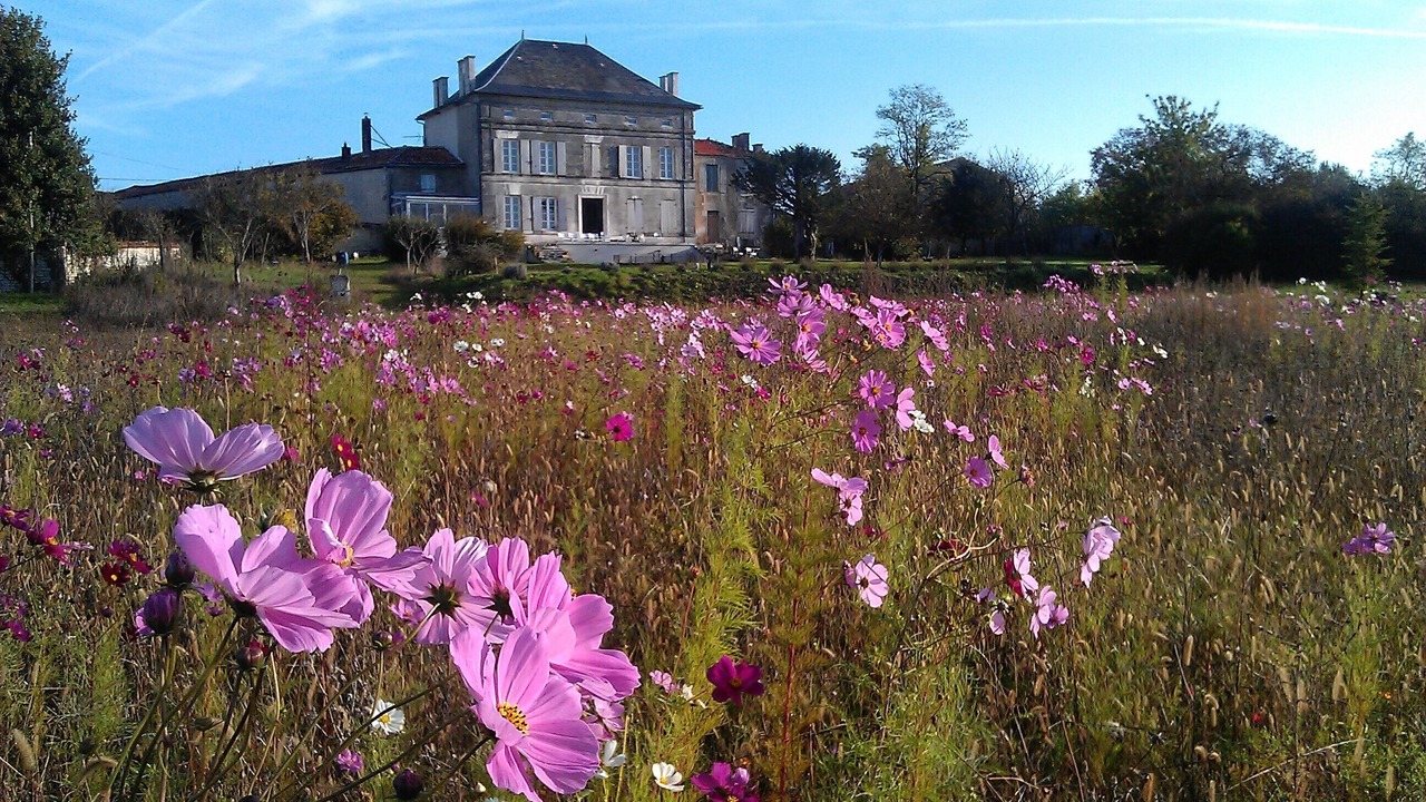 Photo of Outdoor in Mareuil