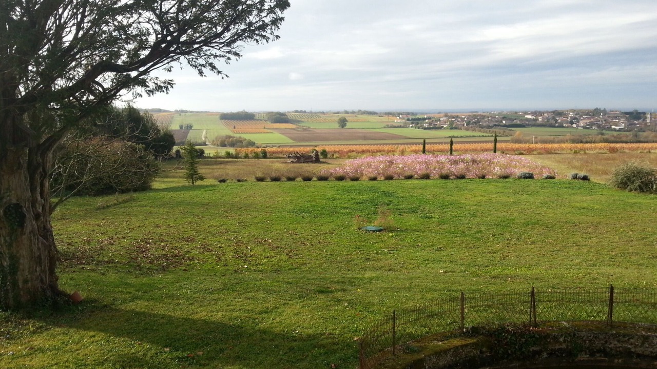 Photo of Outdoor in Mareuil