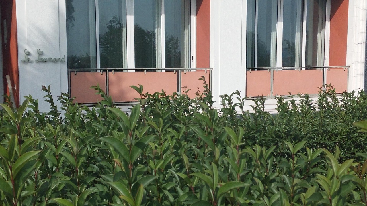 Photo of Outdoor in Fabron