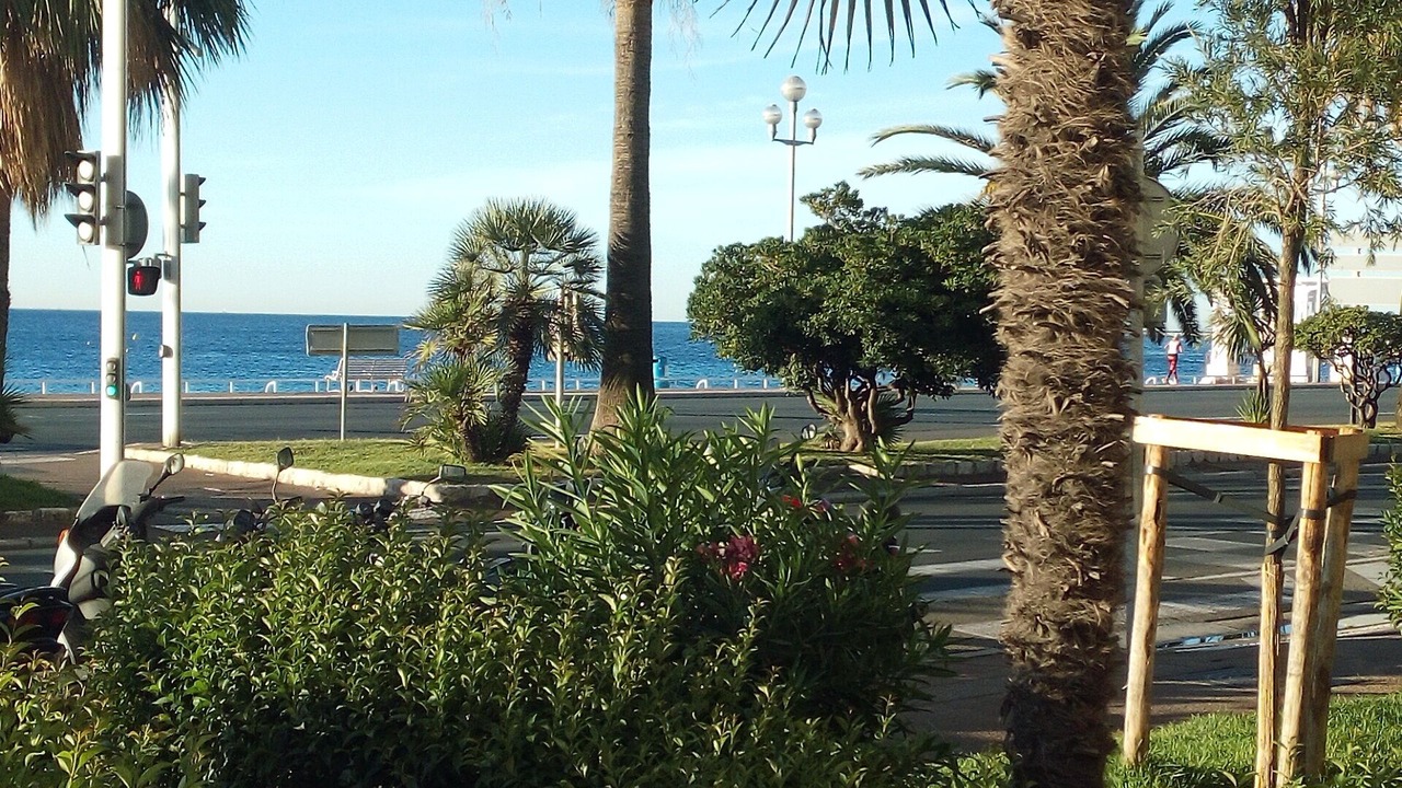 Photo of Outdoor in Fabron