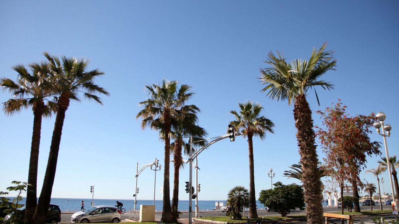 Photo of Others in Fabron