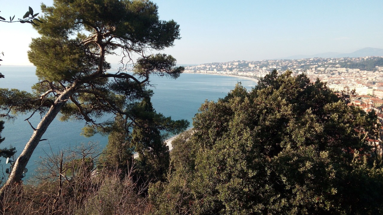 Photo of Others in Fabron