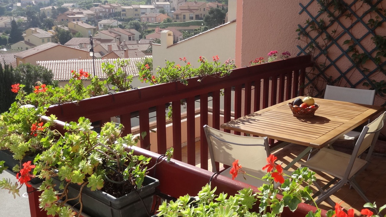 Photo of Outdoor in Collioure