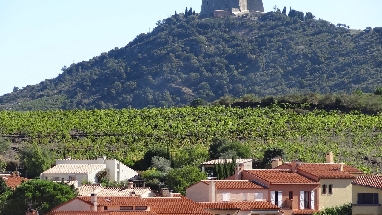 Photo of Outdoor in Collioure