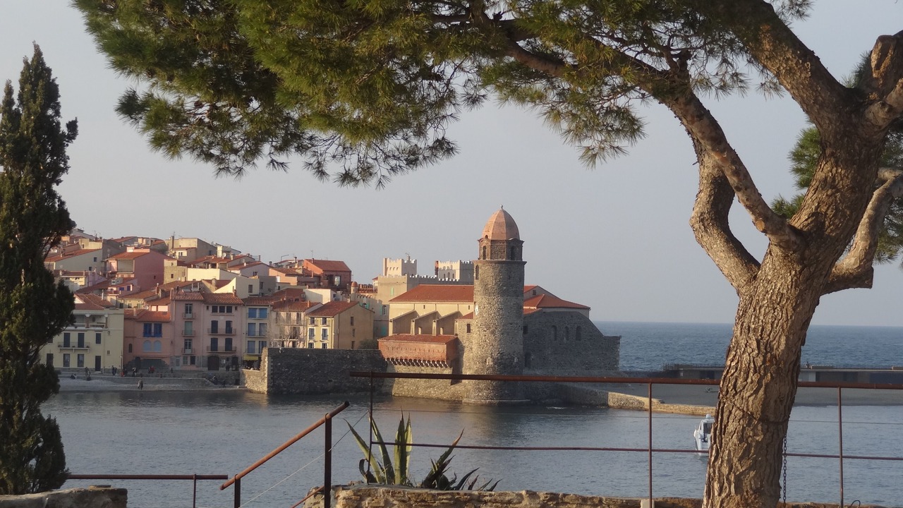 Photo of Others in Collioure
