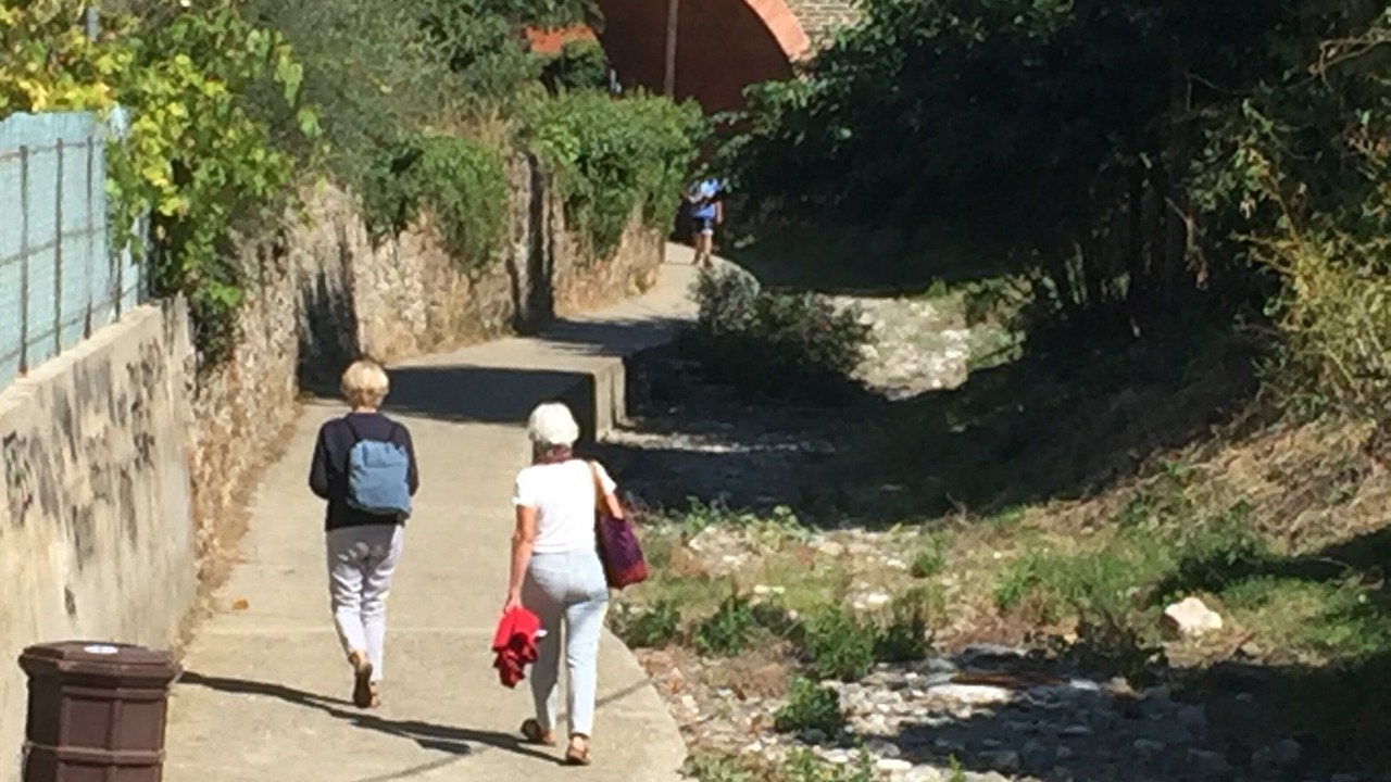 Photo of Outdoor in Collioure