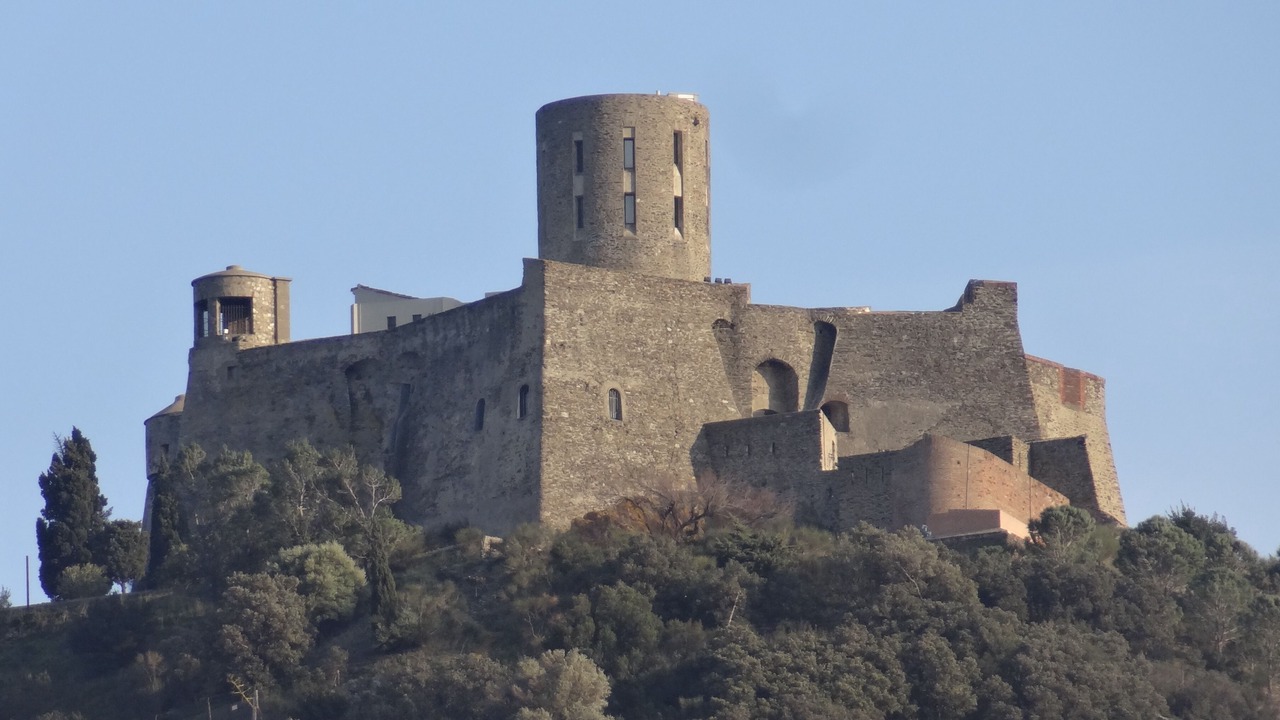 Photo of Others in Collioure
