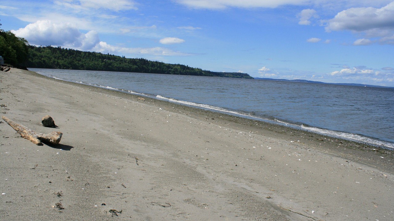 Photo of Others in Kingston