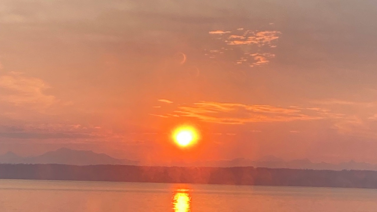 Photo of Others in Kingston