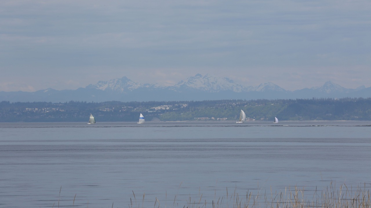 Photo of Others in Kingston