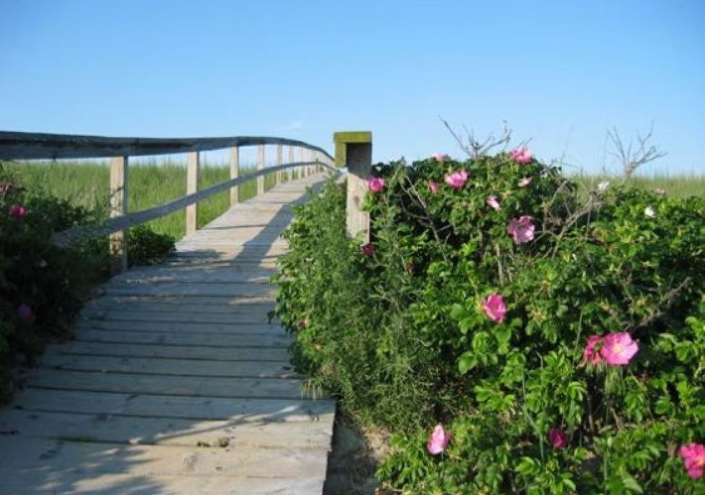 Photo of Outdoor in Sagamore Beach