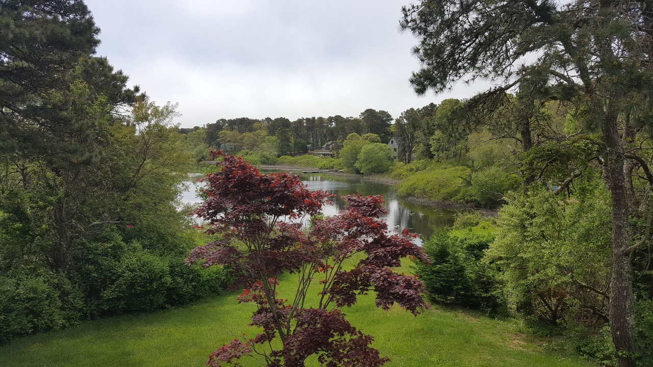 Photo of Outdoor in West Chatham