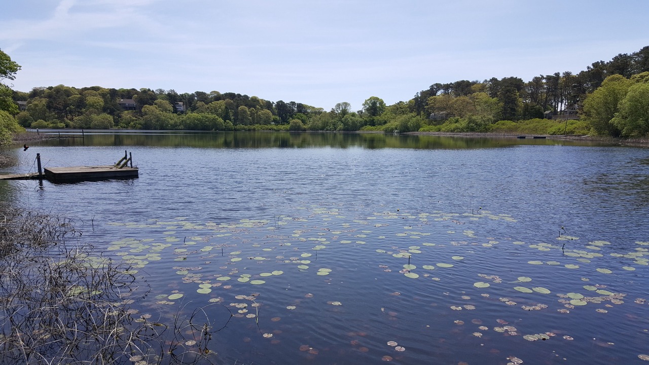 Photo of Outdoor in West Chatham