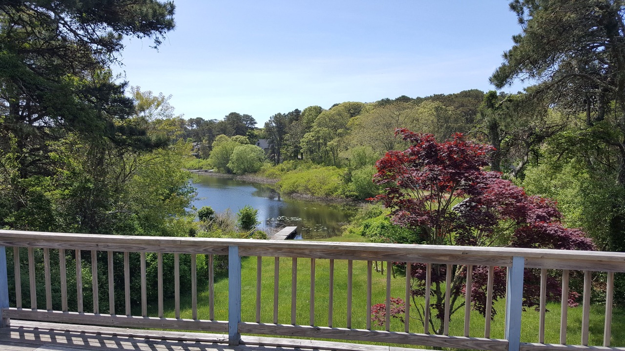 Photo of Outdoor in West Chatham