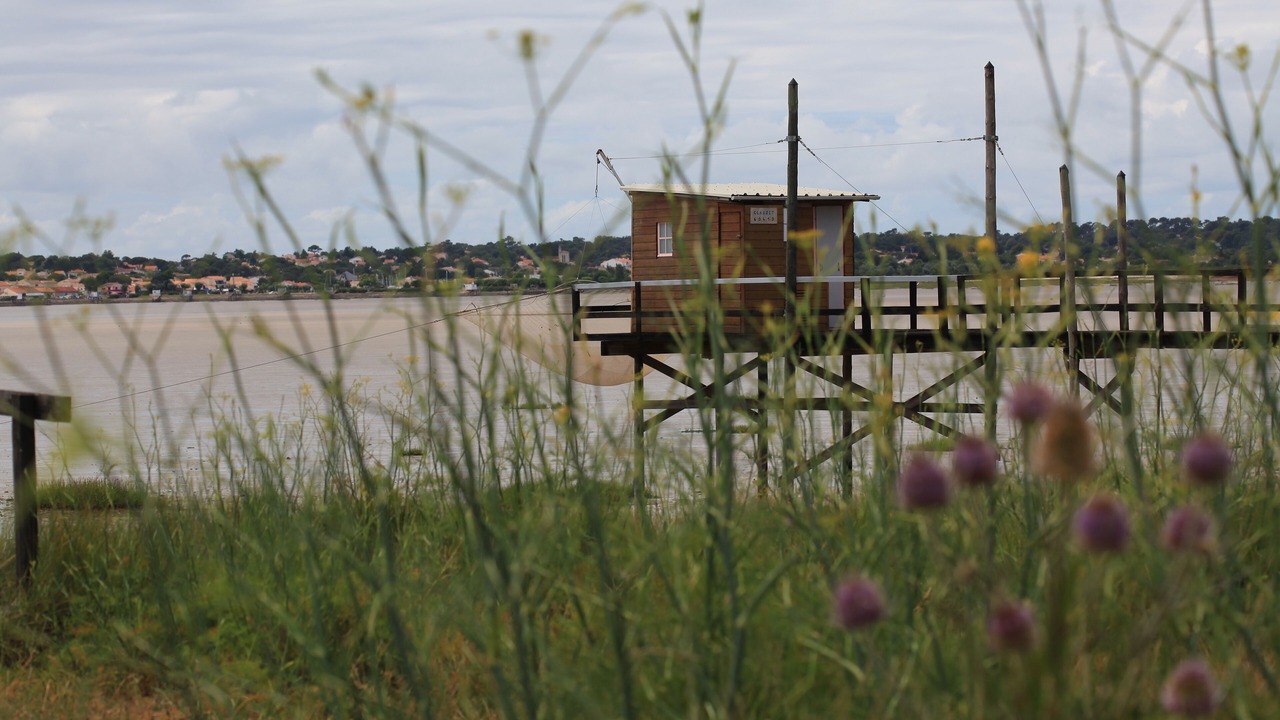 Photo of Outdoor in Lanton