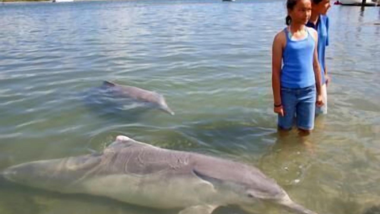 Photo of Others in Tin Can Bay