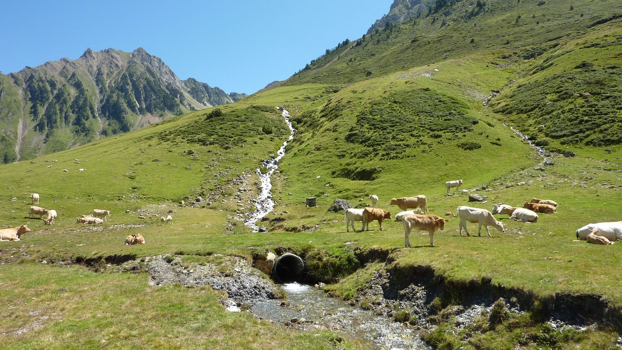 Photo of Outdoor in La Mongie