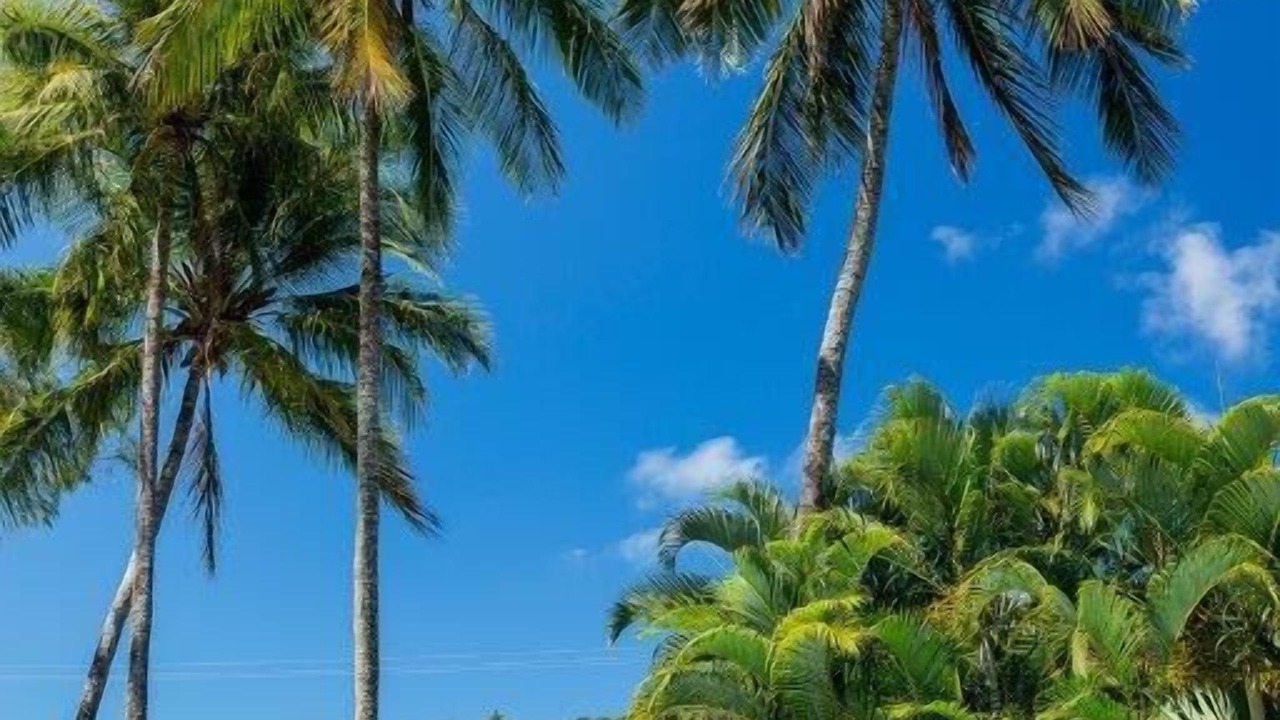 Photo of Outdoor in Jubilee Pocket