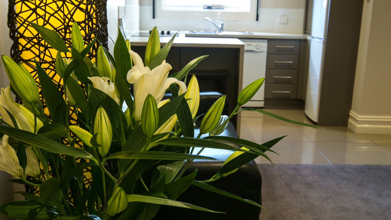 Photo of Bedroom in Warrnambool