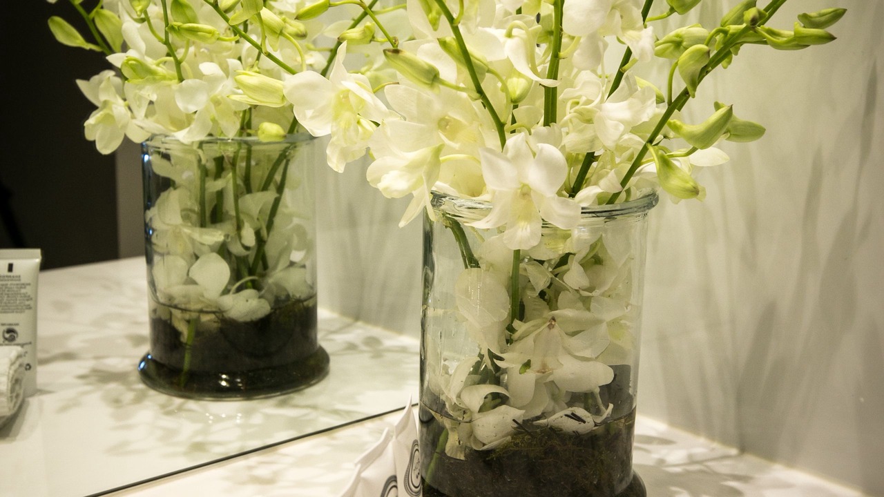 Photo of Bathroom in Warrnambool