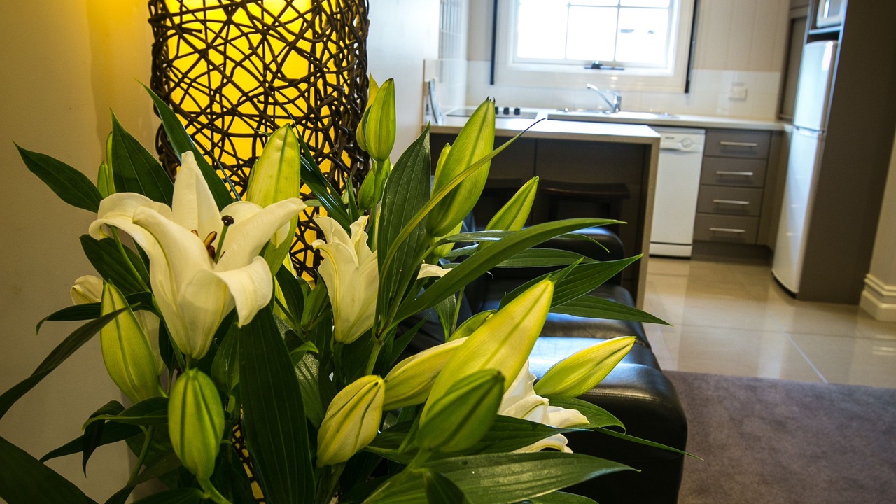 Photo of Bedroom in Warrnambool