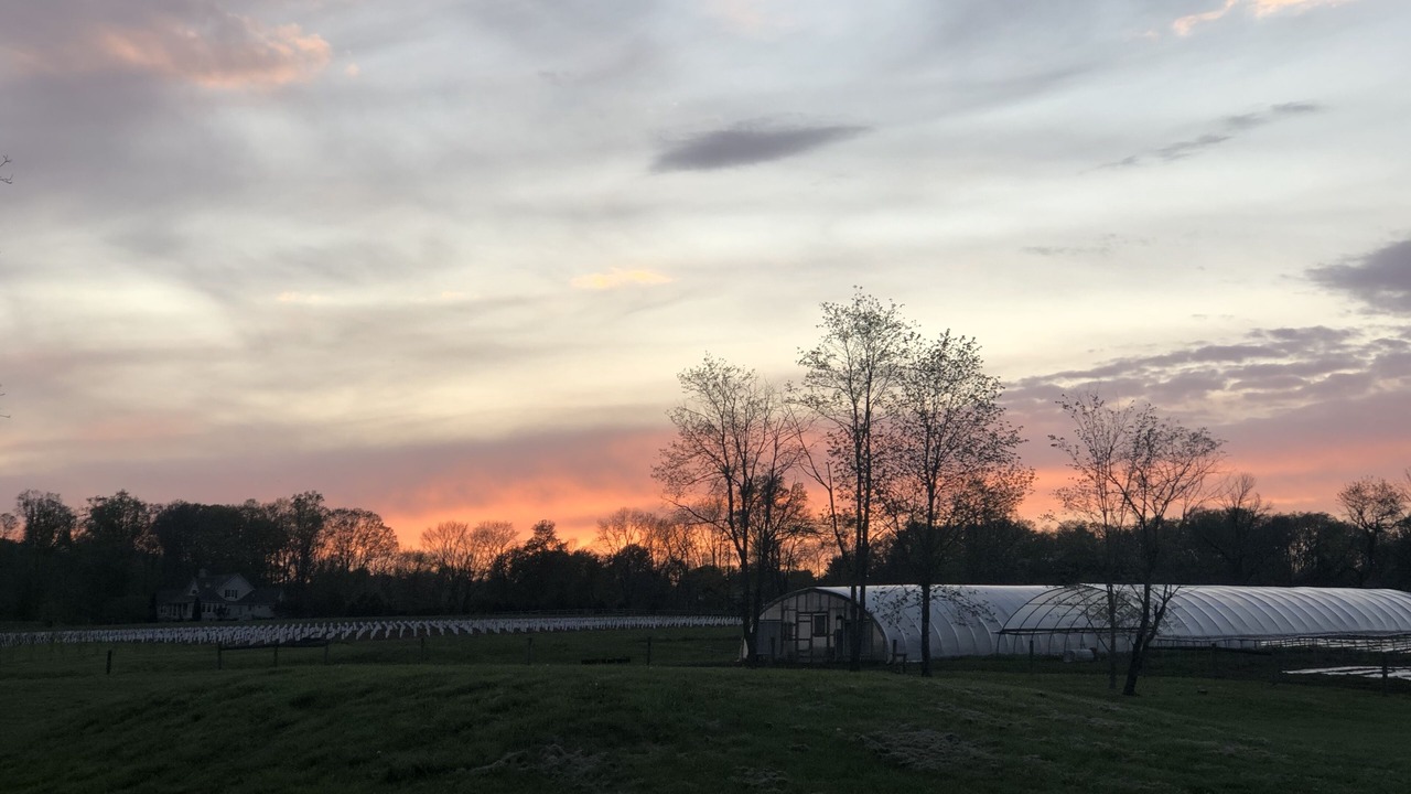 Photo of Outdoor in Springtown