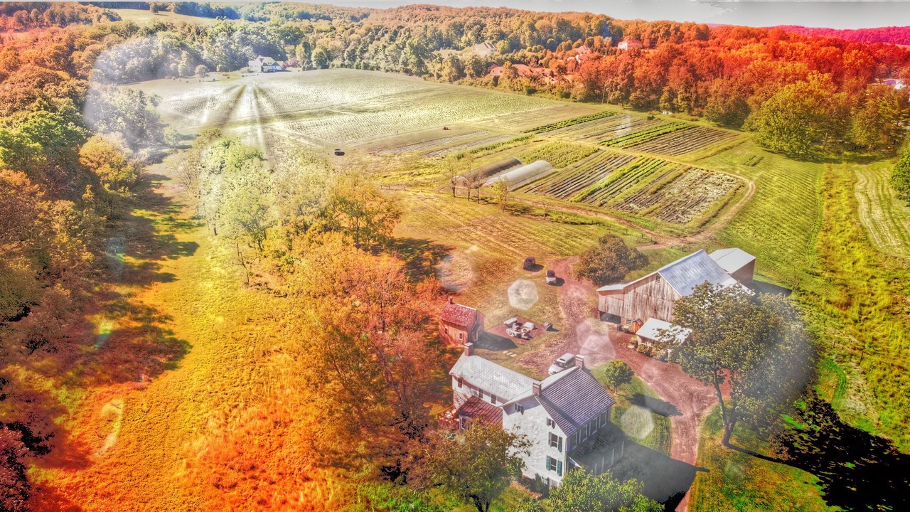 Photo of Outdoor in Springtown