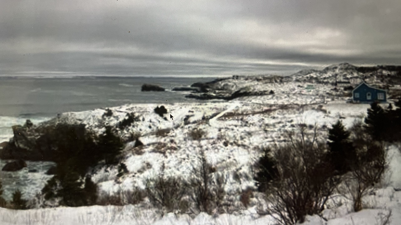 Photo of Others in Small Point-Adam's Cove