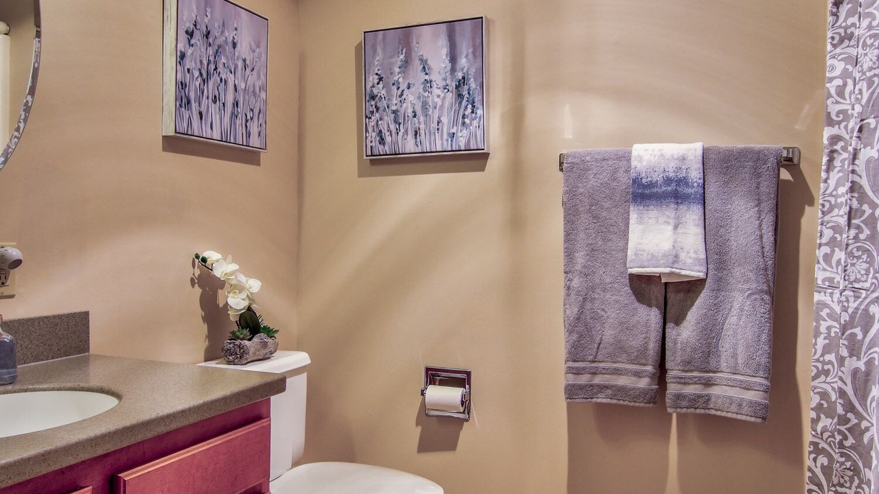 Photo of Bathroom in Innsbrook