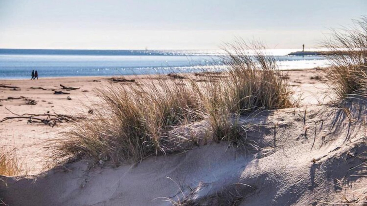 Photo of Others in Serignan