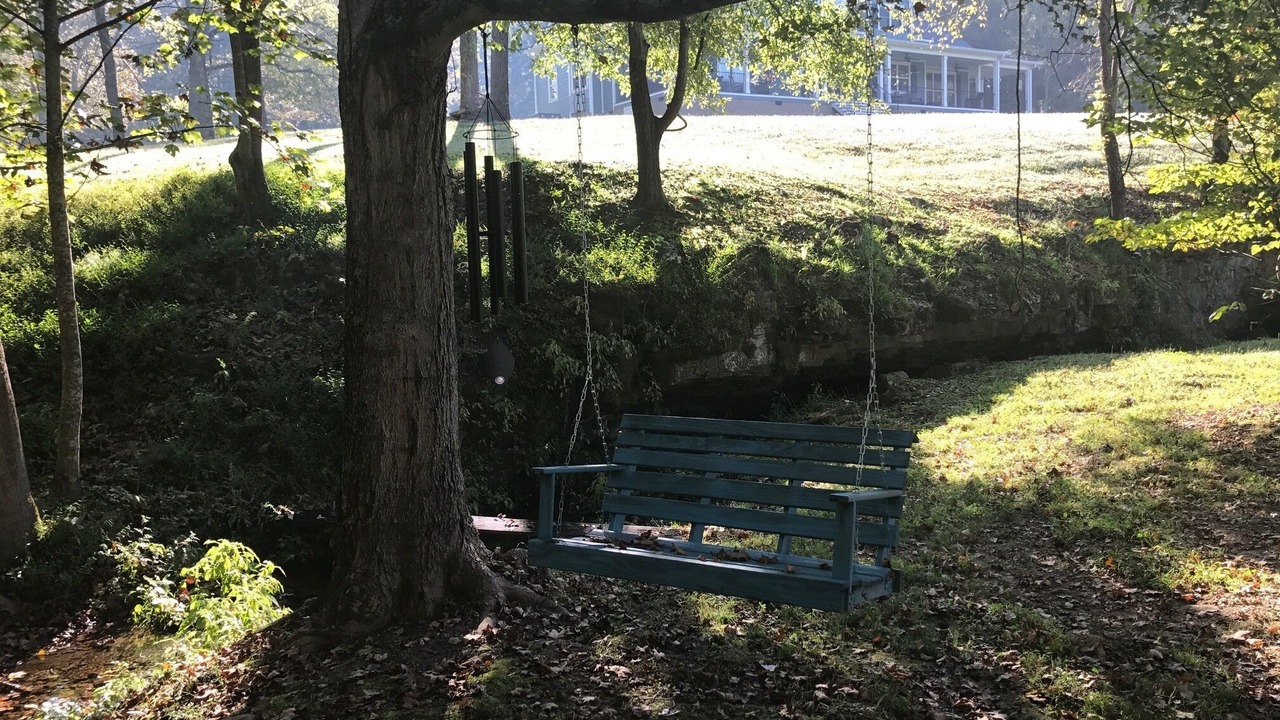 Photo of Outdoor in Dickson