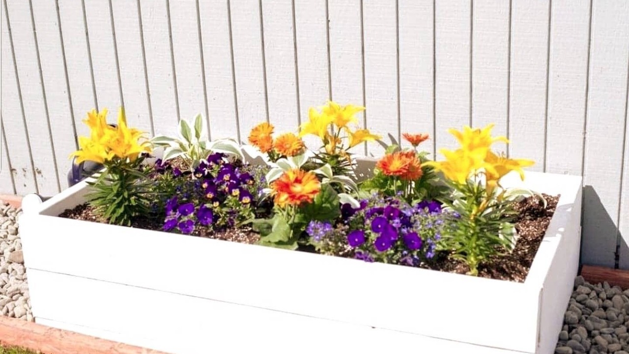 Photo of Outdoor in Northeast Anchorage