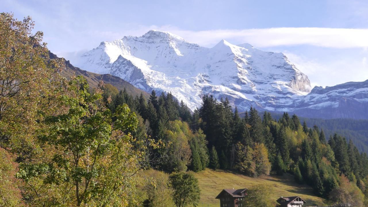 Photo of Outdoor in Wengen