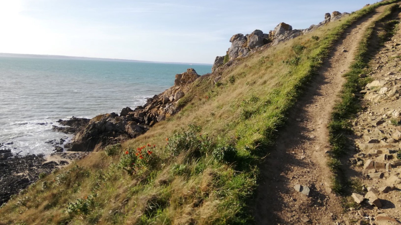 Photo of Others in Pleneuf-Val-Andre