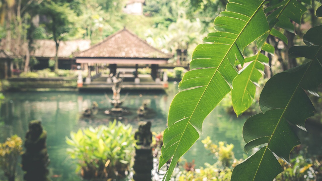 Photo of Outdoor in Seminyak