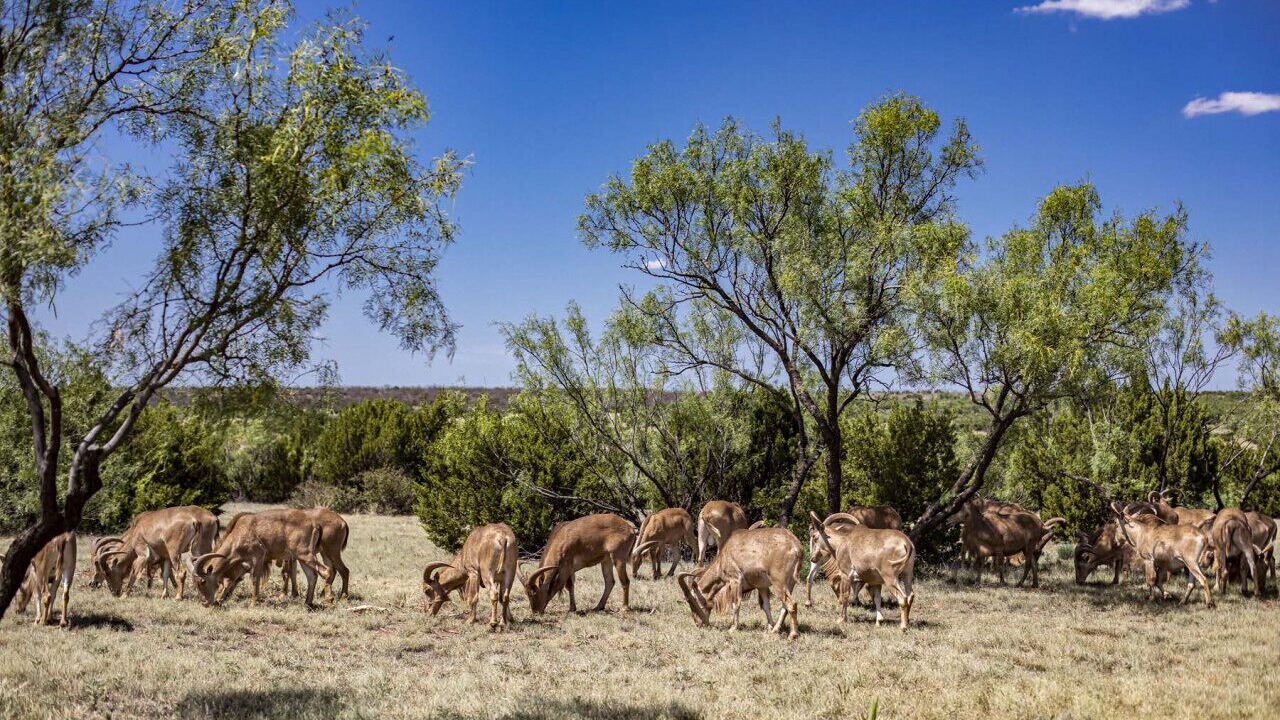 Photo of Others in Canyon