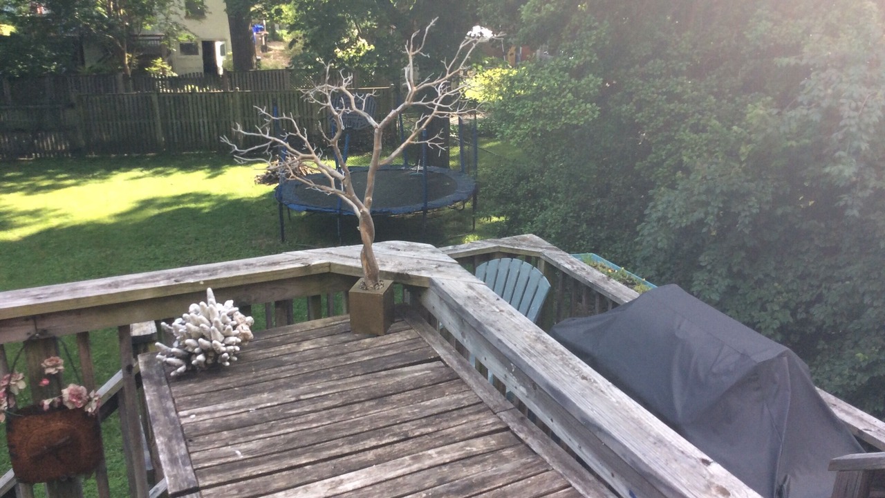 Photo of Outdoor in Silver Spring