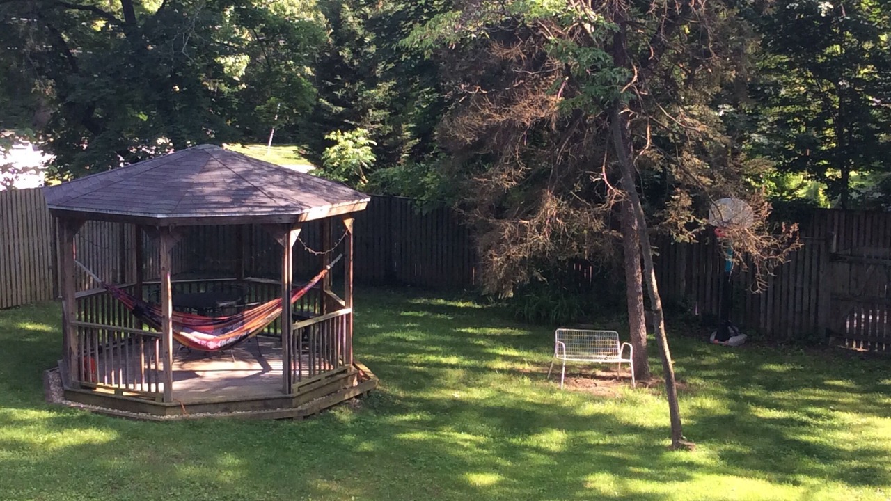 Photo of Outdoor in Silver Spring